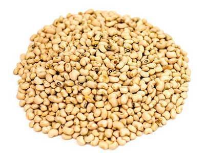 production produits africains Bio Québec