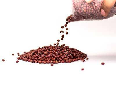 Grossiste d'Aliments Africains Québec