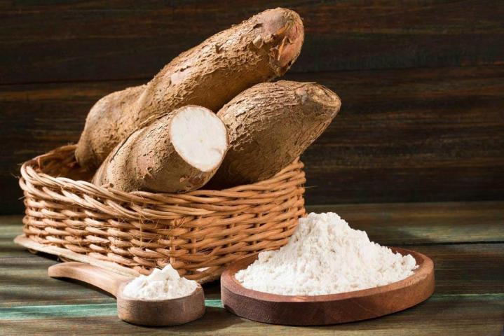 Vente en gros de produits naturels Québec