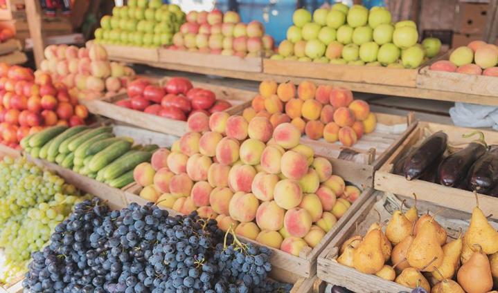 Vente en gros de produits naturels Québec